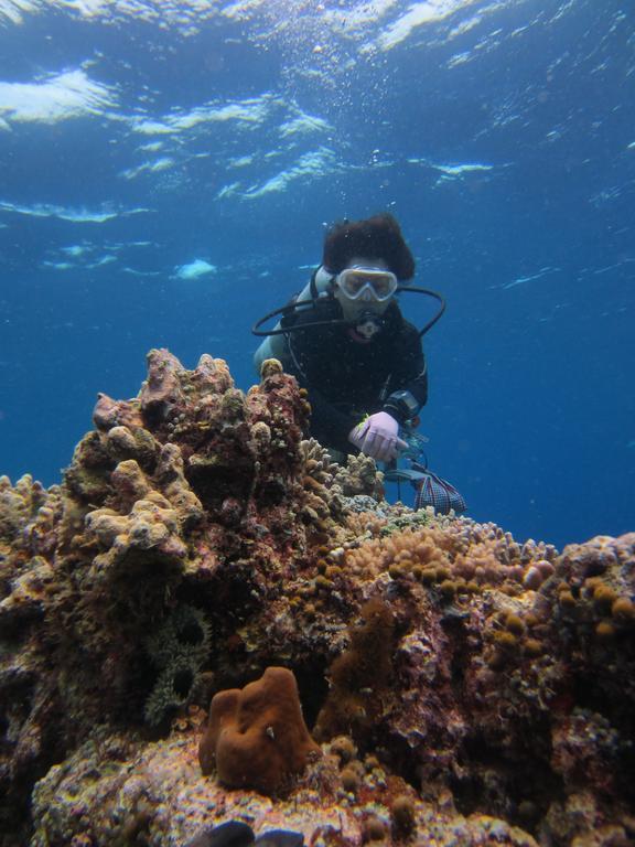 Nusantara Diving Centre Resort & Spa Μανάντο Εξωτερικό φωτογραφία