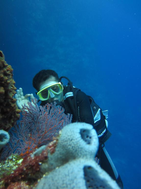 Nusantara Diving Centre Resort & Spa Μανάντο Εξωτερικό φωτογραφία
